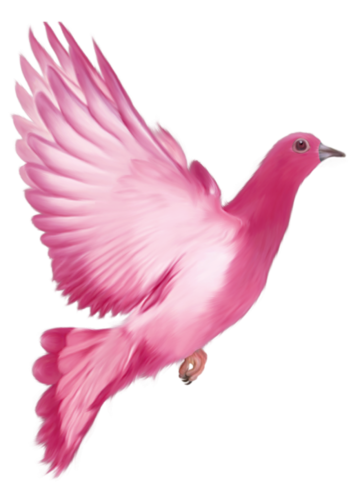 pigeon-png-297qdpjd.png