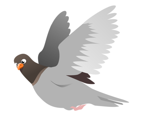pigeon-png-91deo7i.png