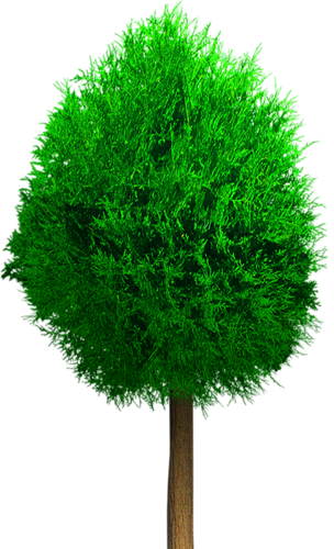 png-aa-png-tree-381drgo.png