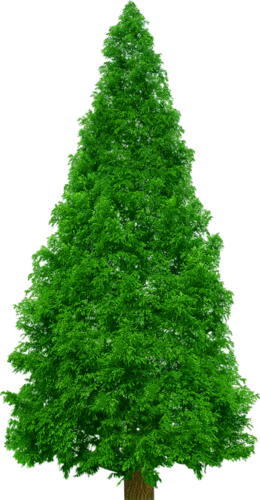 png-aa-png-tree-44gzqf0.png