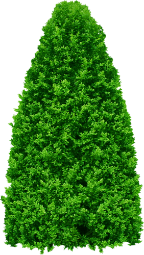png-aa-png-tree-48dtq8g.png