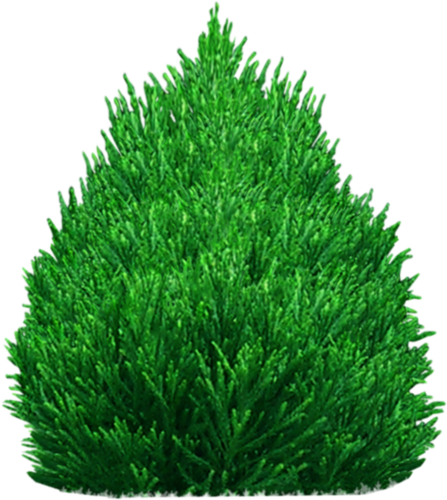 png-aa-png-tree-49ycqxj.png