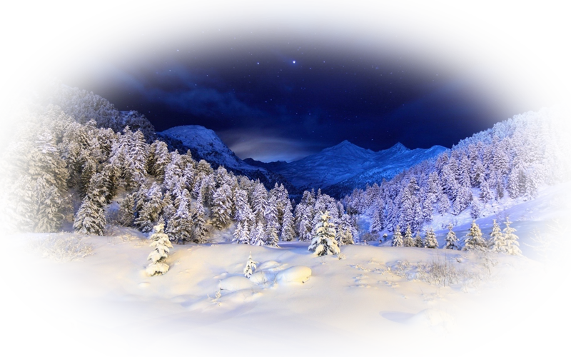 png_winter_nisanboard4oe7v.png