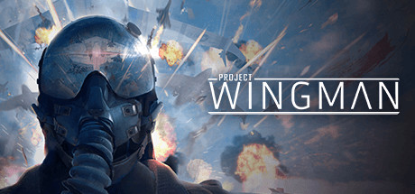 Project Wingman-Codex