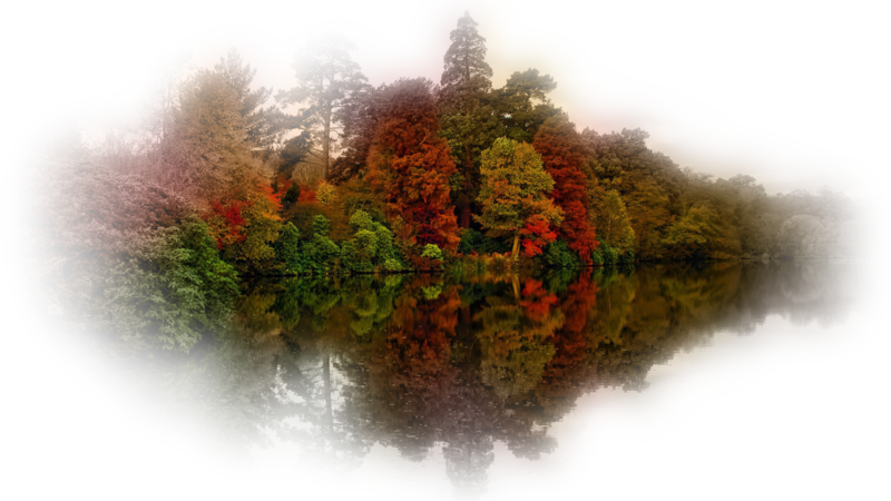 reflecting-autumn-in-awsh1.png