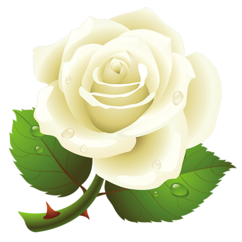 rose_png_nisanboard_3wgrrp.png