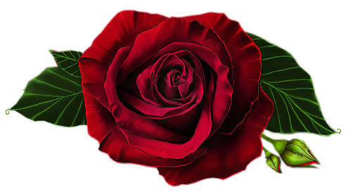rose_png_nisanboard_58ts4b.png