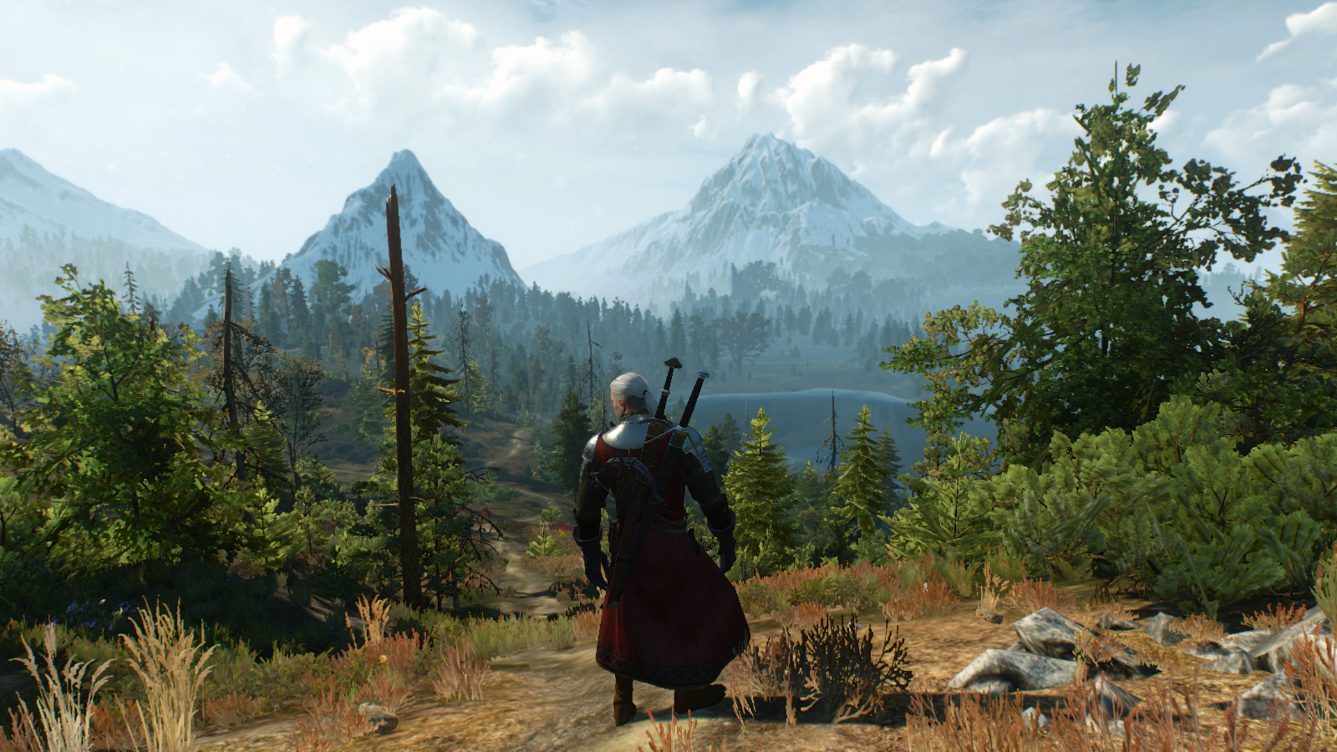 The witcher 3 mac os m1 фото 58