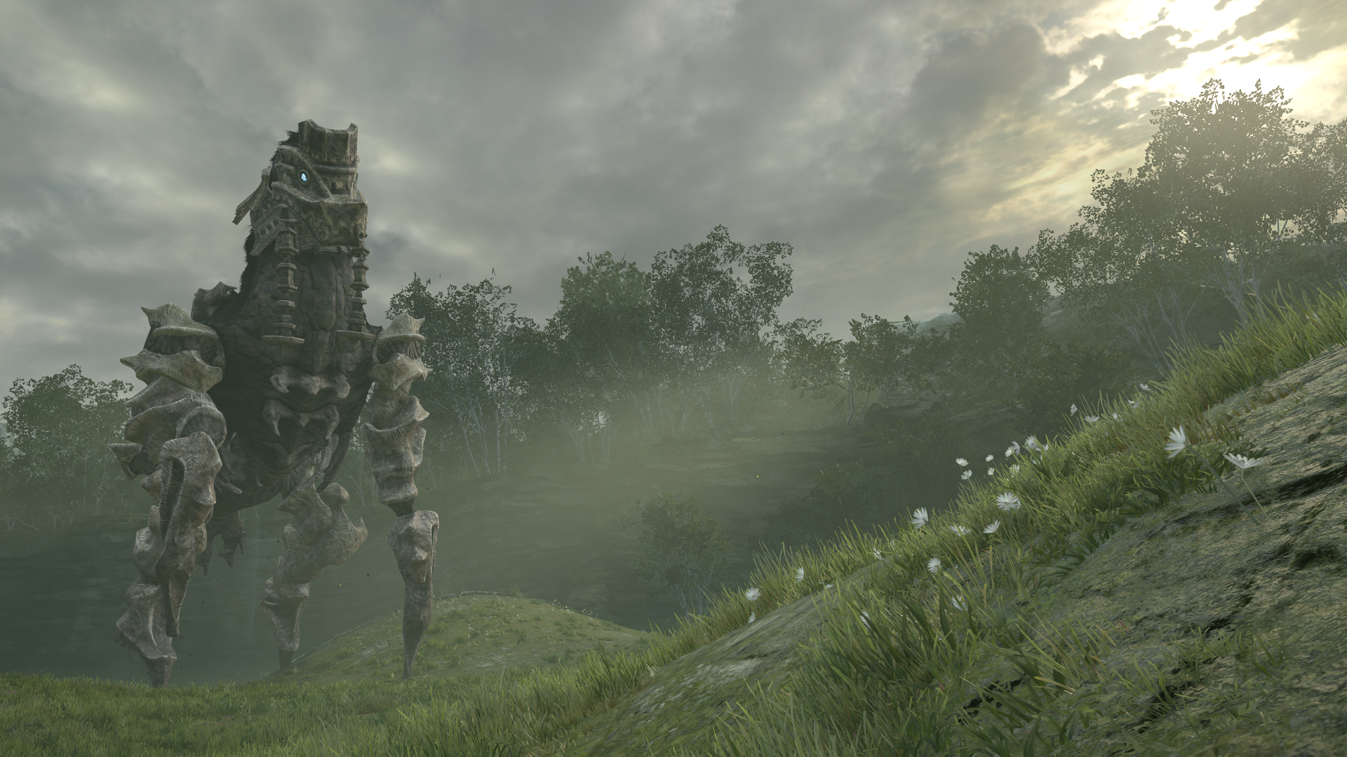 shadowofthecolossus_296shk.png