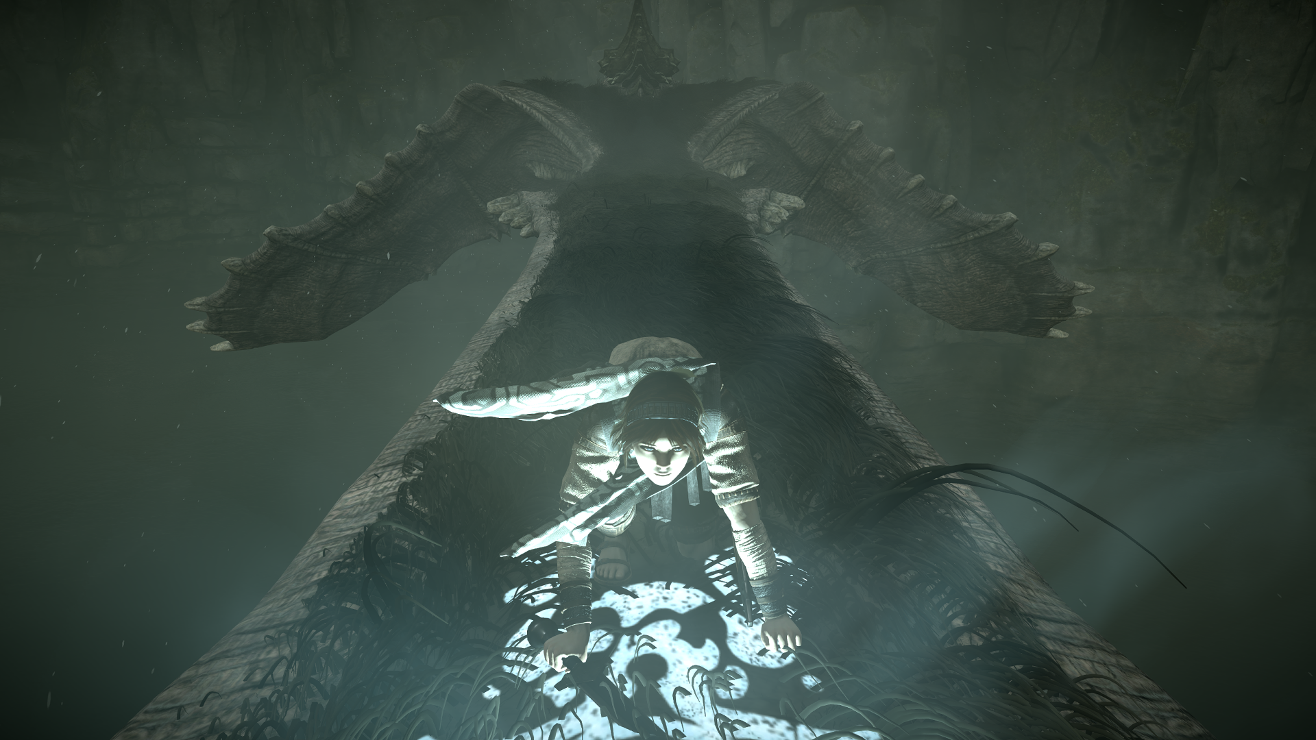 shadowofthecolossus_2dcszl.png