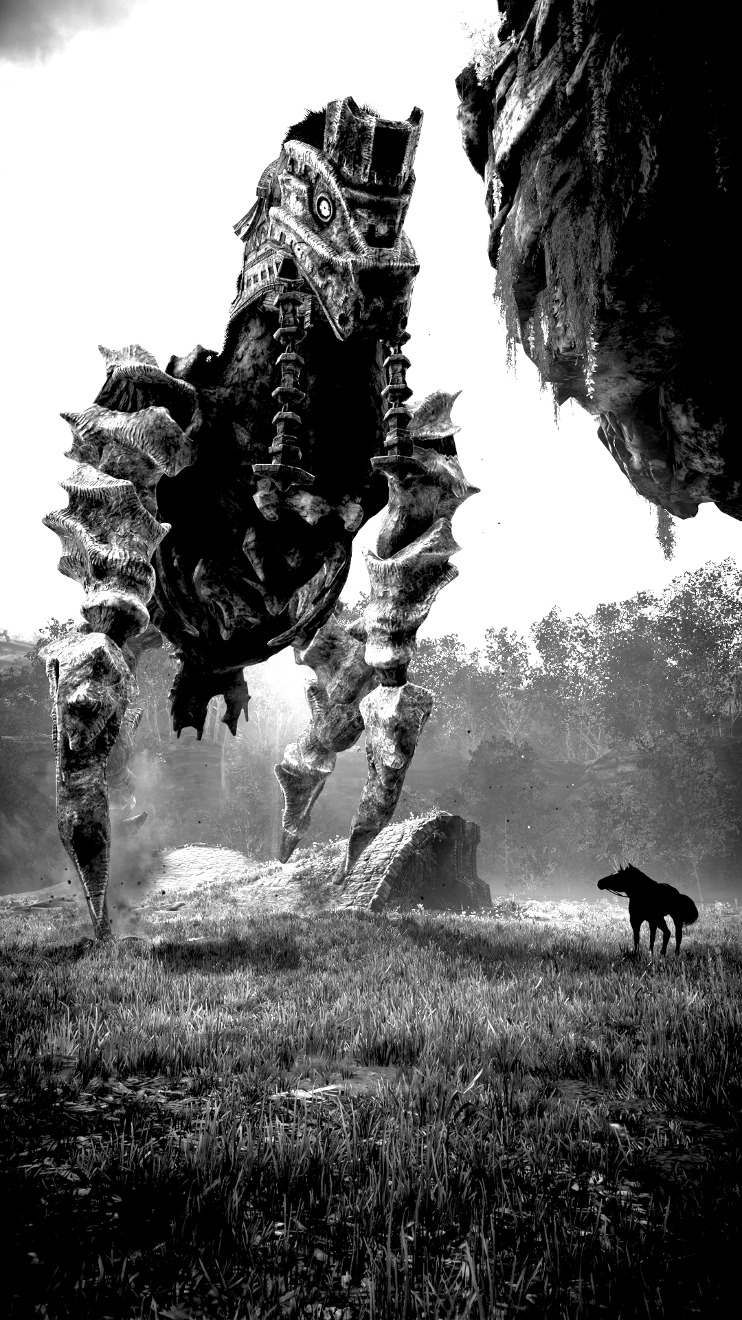 shadowofthecolossus_2gssio.png