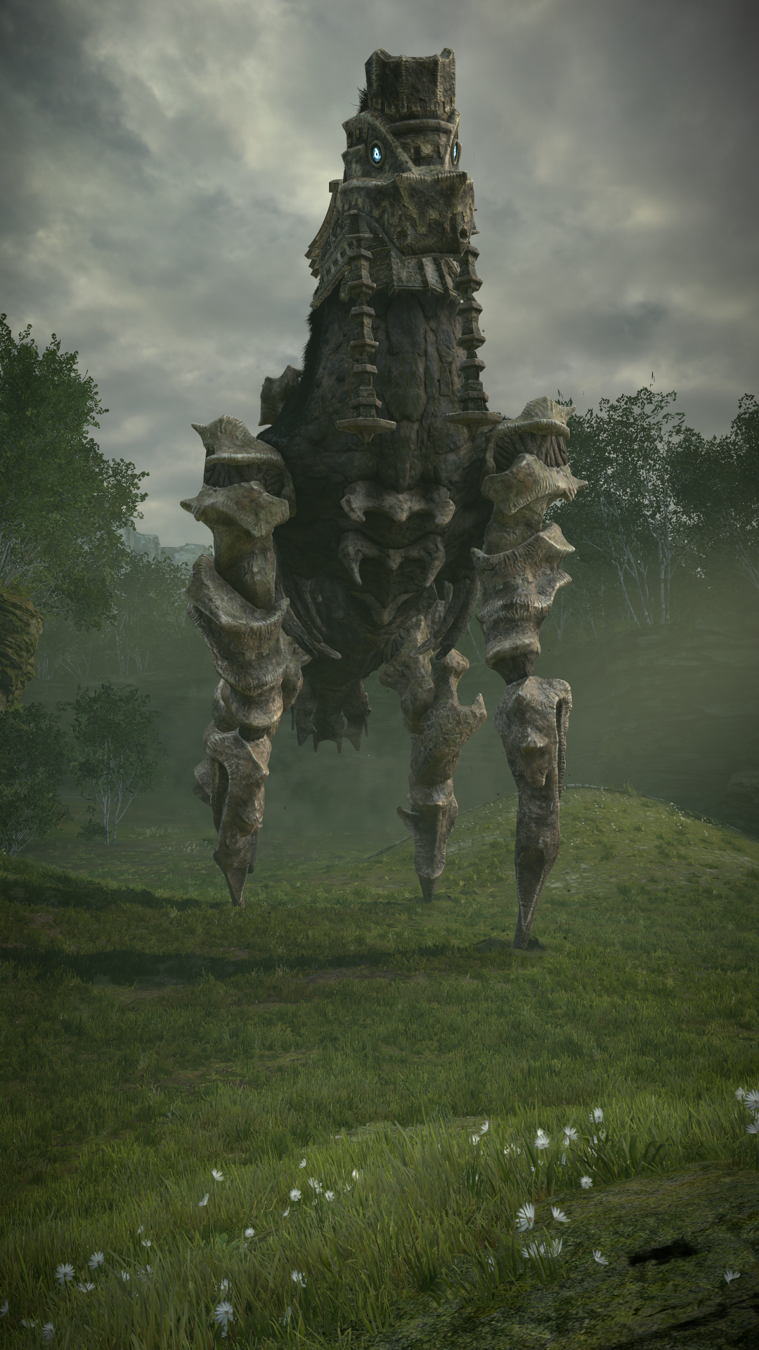shadowofthecolossus_2kyswq.png