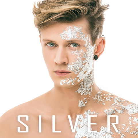 silver-album-2016-bigdfunu