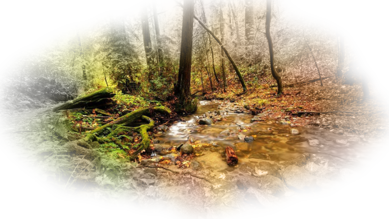 small-river-in-the-moceo83.png