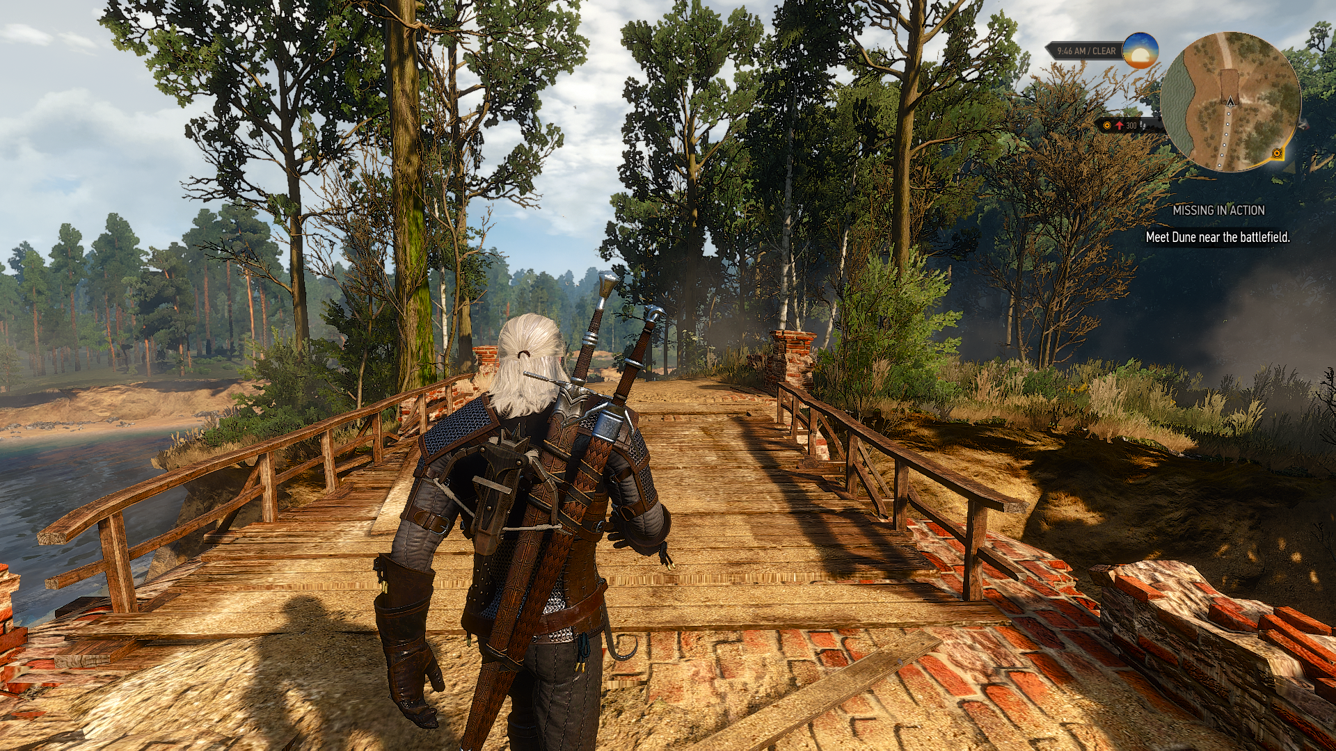 thewitcher38_19_20158eusey.png