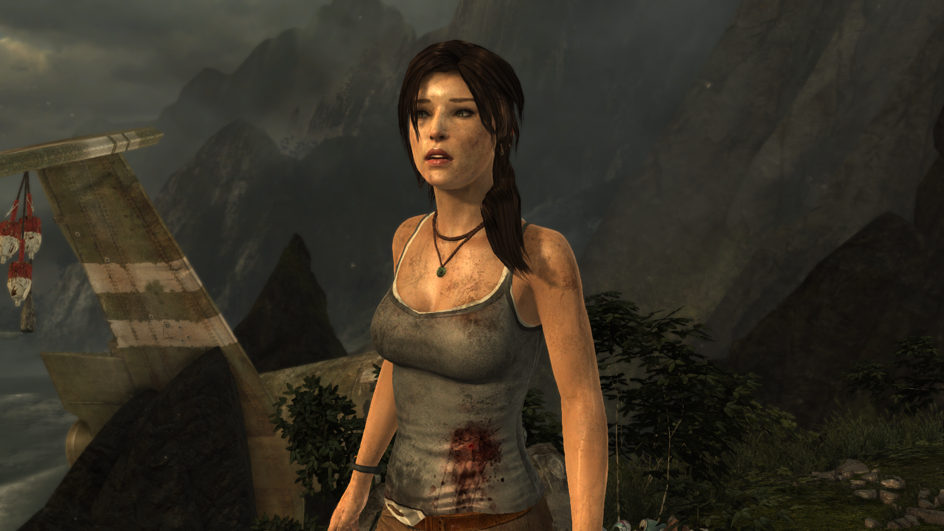 tombraider2013-05-2512fu0g.png
