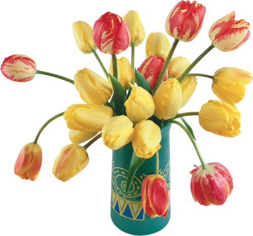 tulips-png-lale-png-1a8koy.png