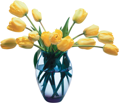 tulips-png-lale-png-1c0jnn.png