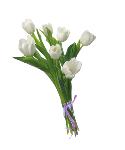 tulips-png-lale-png-1ghs5c.png