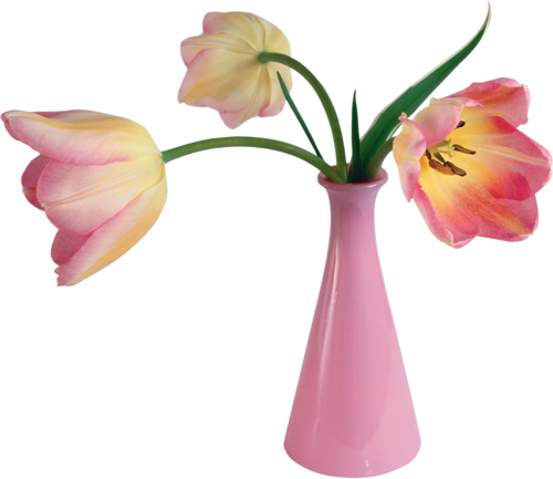 tulips-png-lale-png-1gpjy1.png