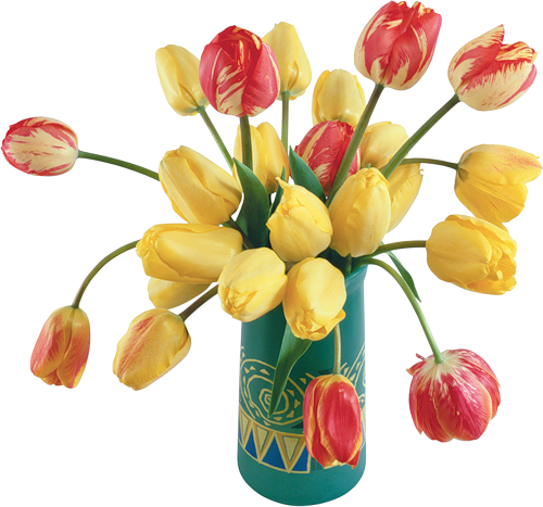 tulips-png-lale-png-1l3su5.png