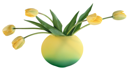 tulips-png-lale-png-1wakw1.png