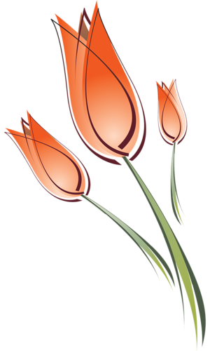 tulips-png-lale-png-49qpef.png