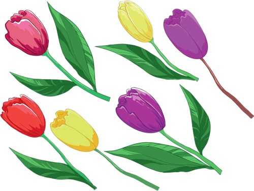 tulips-png-lale-png-4kpq78.png