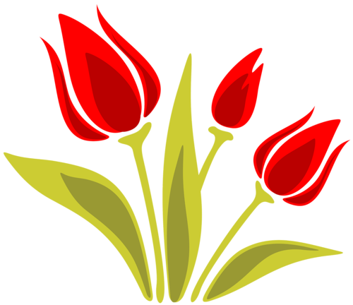 tulips-png-lale-png-4m4on4.png