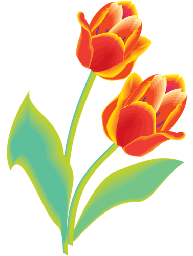 tulips-png-lale-png-4rhper.png
