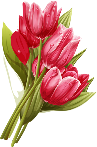 tulips-png-lale-png-5qzrmb.png