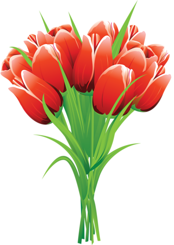 tulips-png-lale-png-76jpvu.png