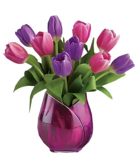 tulips-png-lale-png-7tho0u.png
