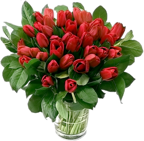 tulips-png-lale-png-823p1h.png
