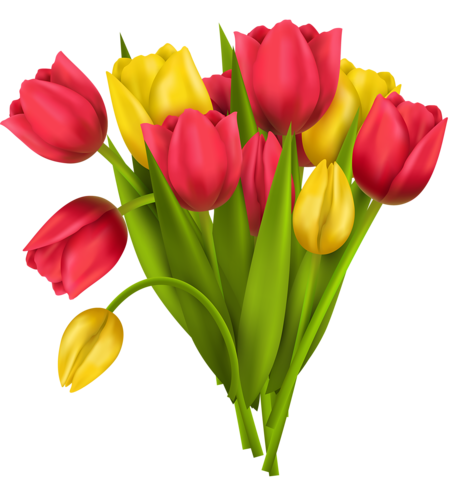 tulips-png-lale-png-8ehrfu.png