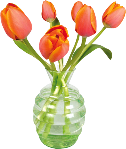 tulips-png-lale-png-8ezrh9.png