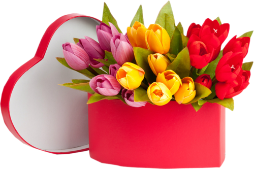 tulips-png-lale-png-8ryolc.png