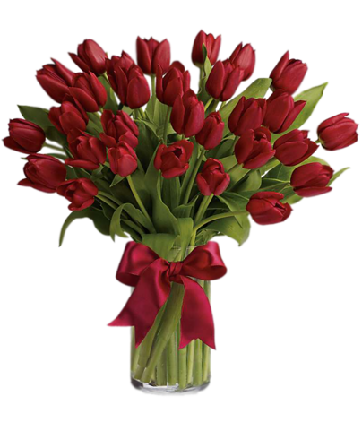 tulips-png-lale-png-8z8qh3.png