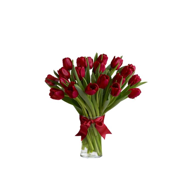 tulips_png_lale_png_2dqj95.png