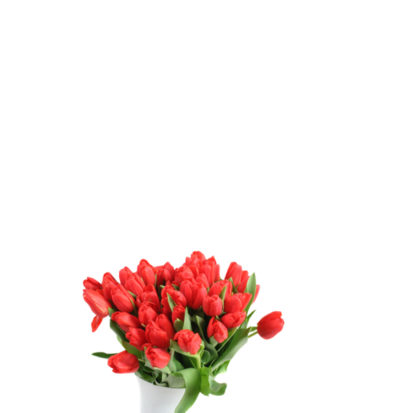 tulips_png_lale_png_2f2j90.png
