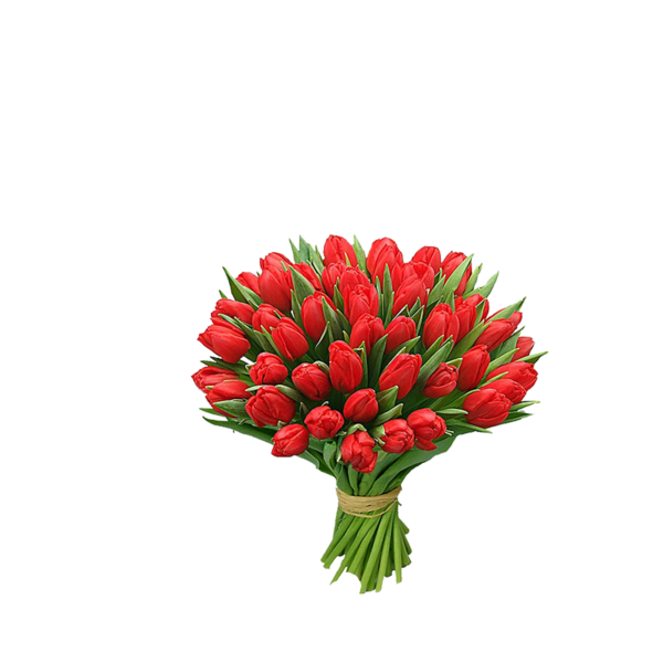 tulips_png_lale_png_59sapd.png