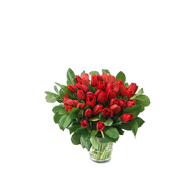 tulips_png_lale_png_6gxb1x.png