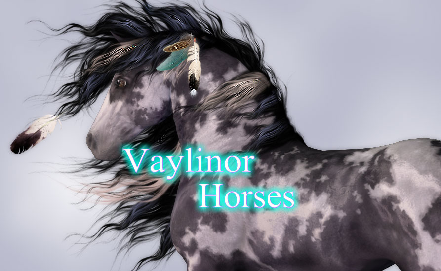 vayli-horsesoapr2.jpg