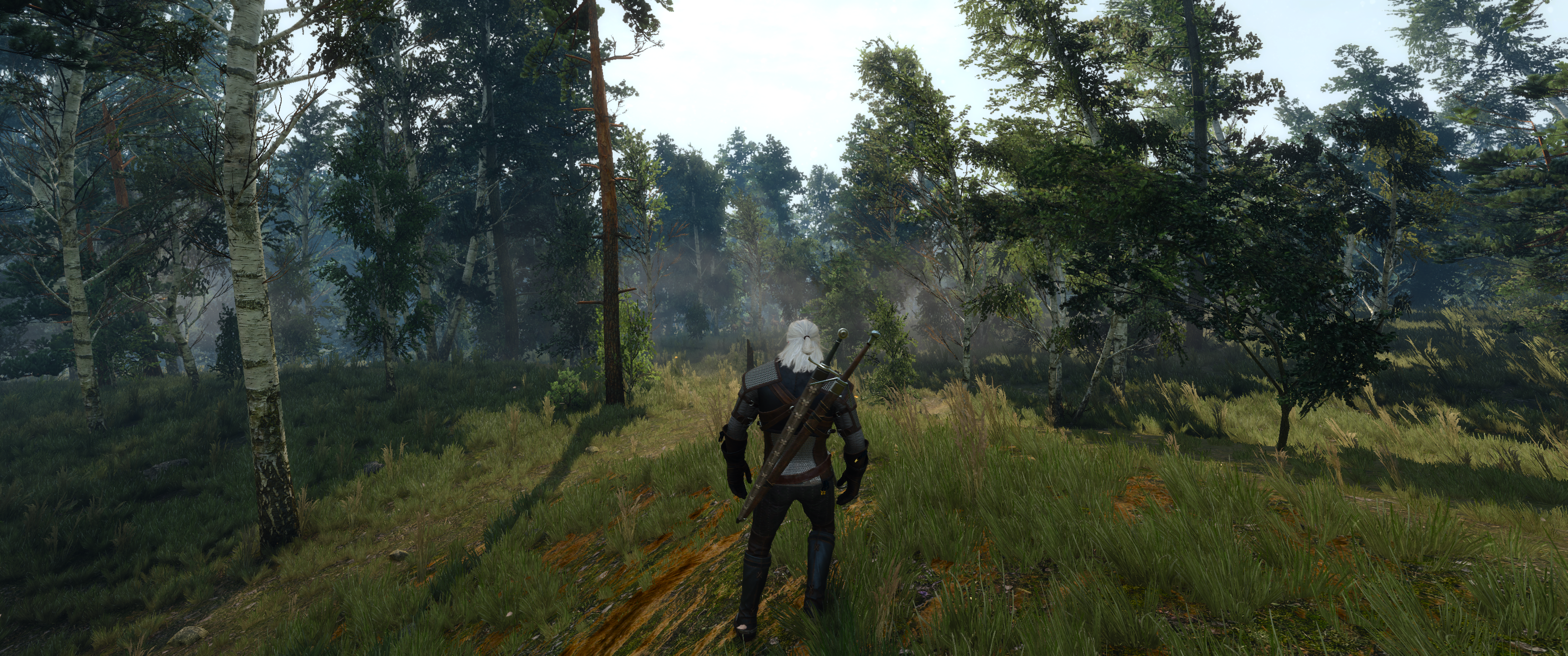 witcher32015-05-1922-wysph.png