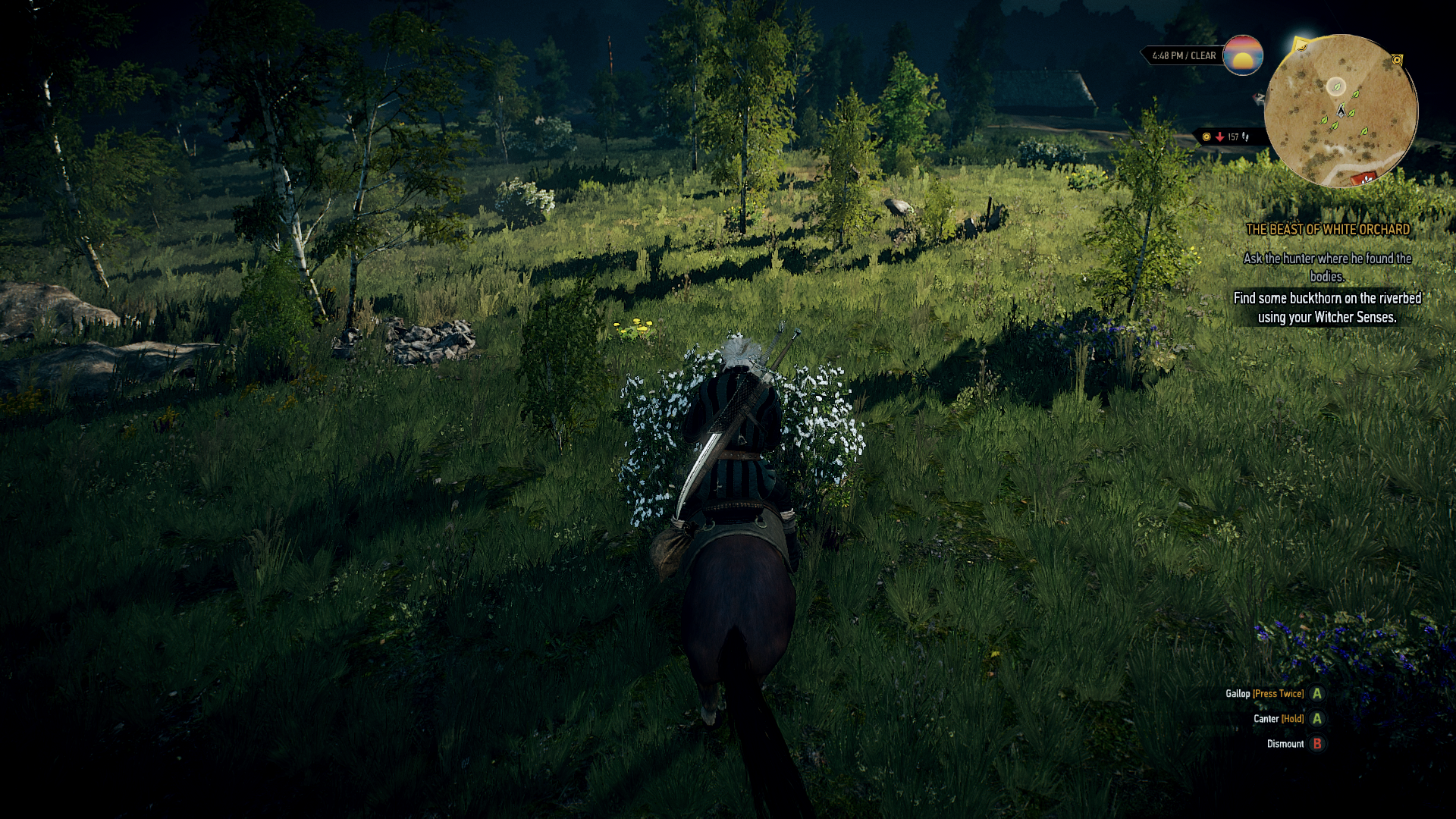 witcher32015-05-2219-cwsln.png