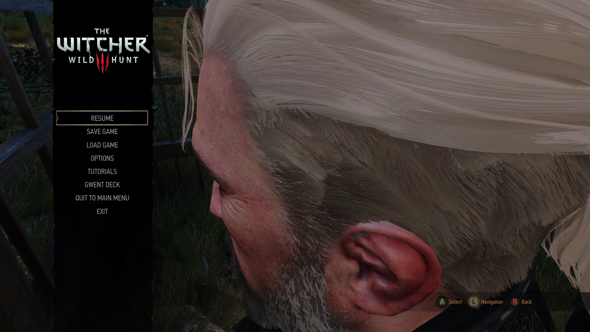 witcher32015-07-2010-e4oc8.png