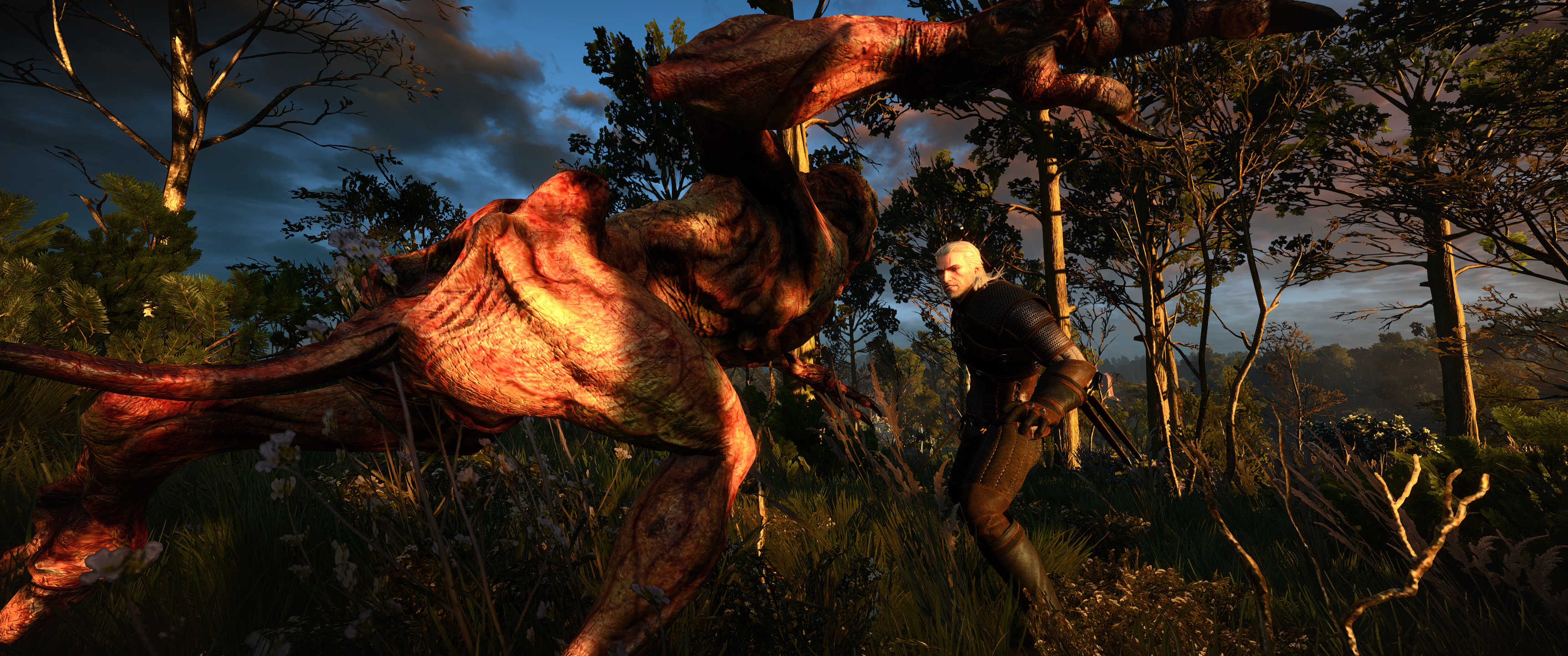 witcher3_2015_05_22_17qj45.png