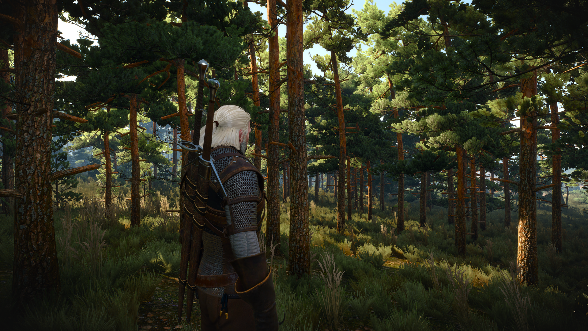 witcher3_2015_05_24_19dl9o.png