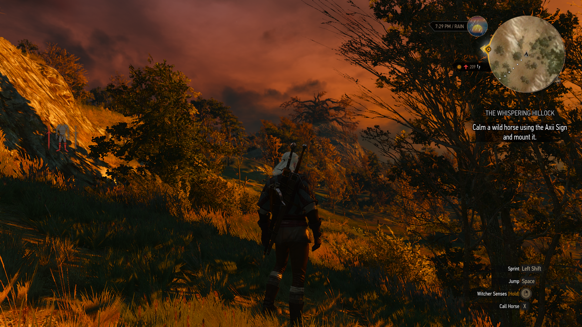 witcher3_2015_05_25_20aoj2.png