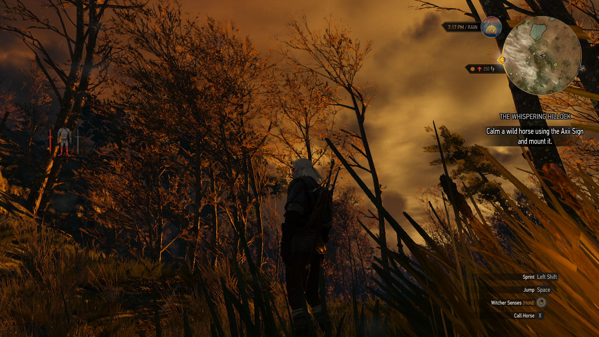 witcher3_2015_05_25_25epjm.png